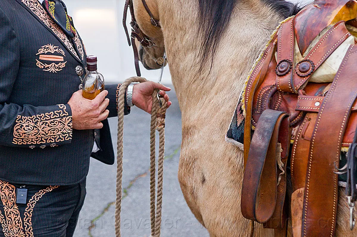 charro - mexican horseman, alcohol, bridle, decorated suit, embroidery, horse, horseman, leather, man, mexican saddle, rider, rope, standing