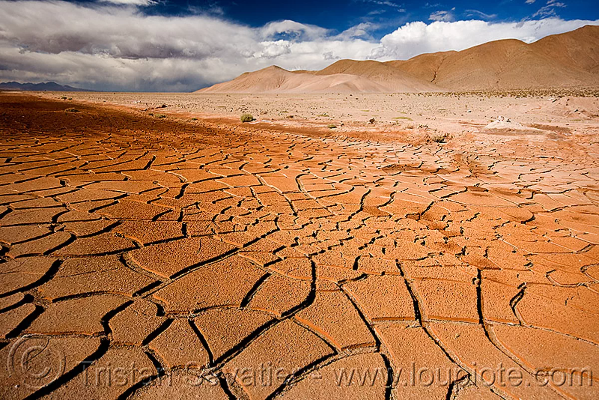 cracked mud - dry desert, altiplano, argentina, cracked mud, drought, dry mud, dry spell, noroeste argentino, pampa