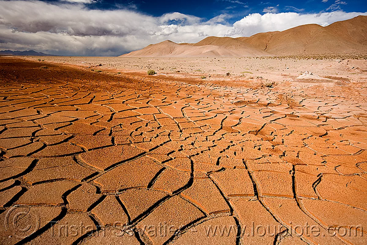 cracked mud dry desert cracked mud dry desert