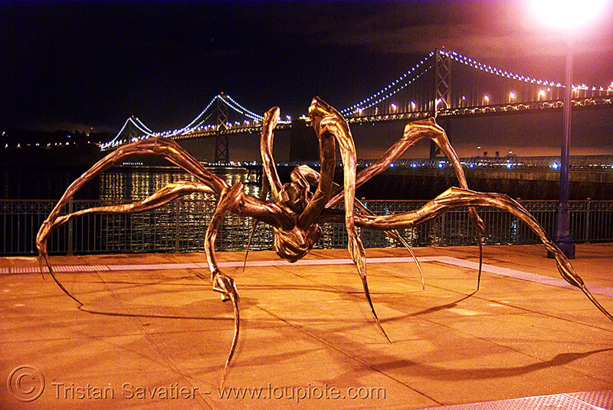 crouching spider by louise bourgeois (san francisco), bridge, crouching spider, louise bourgeois, night, sculpture