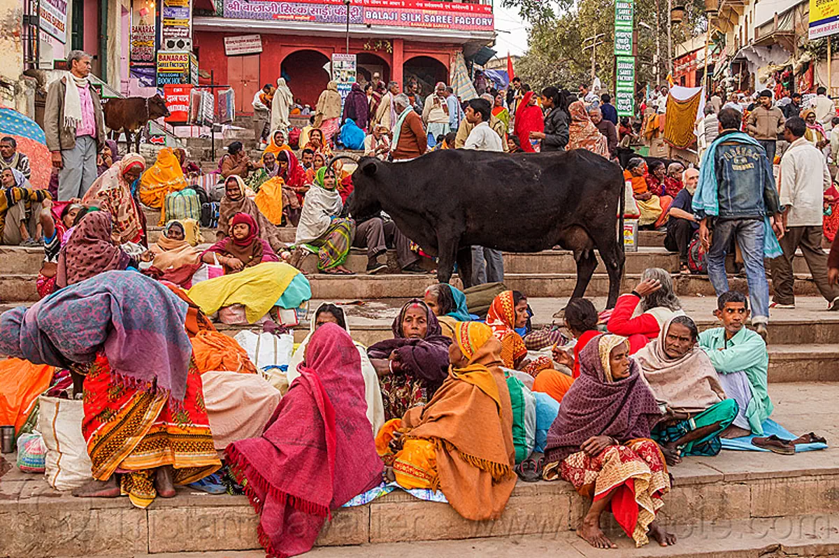 crowd of colorful hindu pilgrims and cow on the ghats of varanasi (india), colorful, crowd, ghats, hindu, hinduism, men, sitting, steps, street cow, varanasi, women
