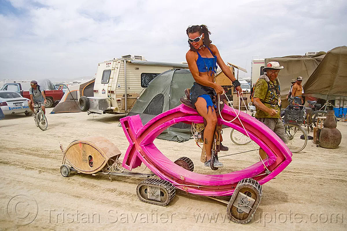 darwin fish burning man 2009