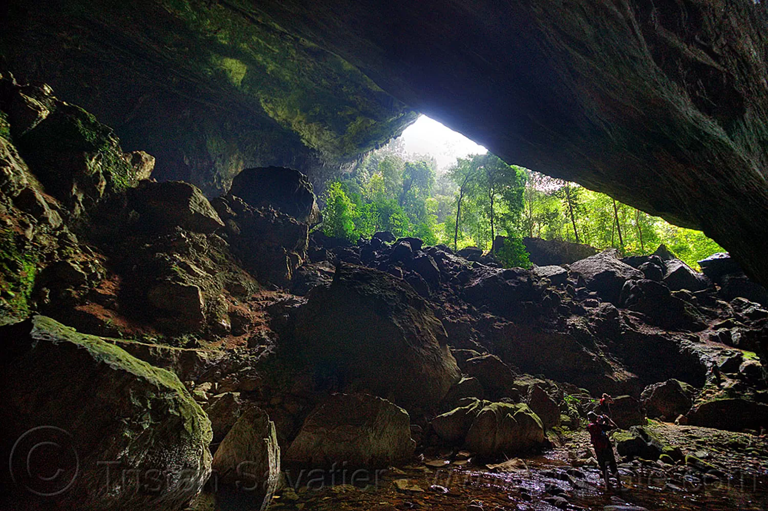 deer cave and garden of eden - mulu (borneo), backlight, borneo, cave mouth, caving, deer cave, garden of eden, gunung mulu national park, jungle, malaysia, natural cave, rain forest, spelunking, trees