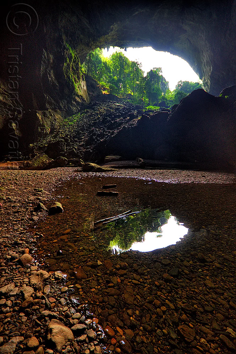 deer cave mouth at garden of eden, mulu, borneo