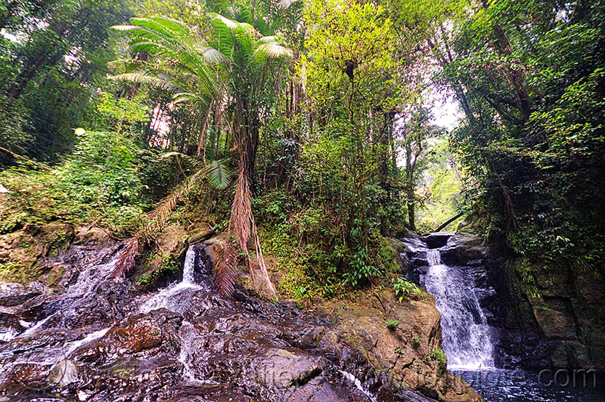 double waterfall, garden of eden, mulu, borneo