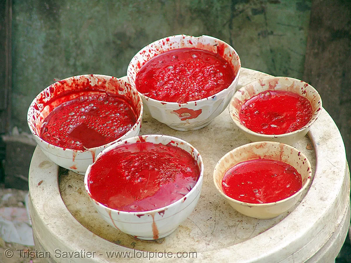 duck raw blood - vietnam, coagulated blood, dishes, duck blood, food, fresh, poultry, raw blood soup, red, tiet canh, tiết canh, vietnam