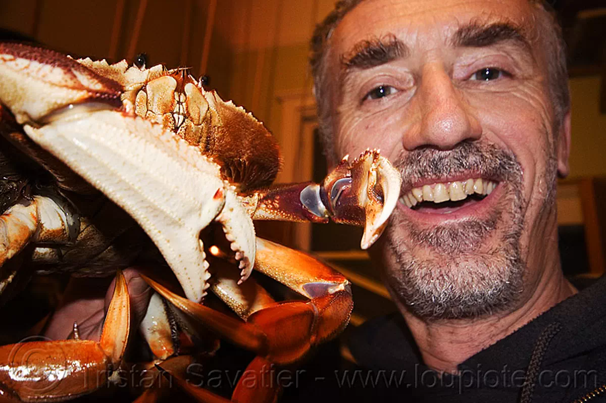 dungeness crab - tristan savatier, dungeness crab, food, man, metacarcinus magister, seafood, self portrait, selfie