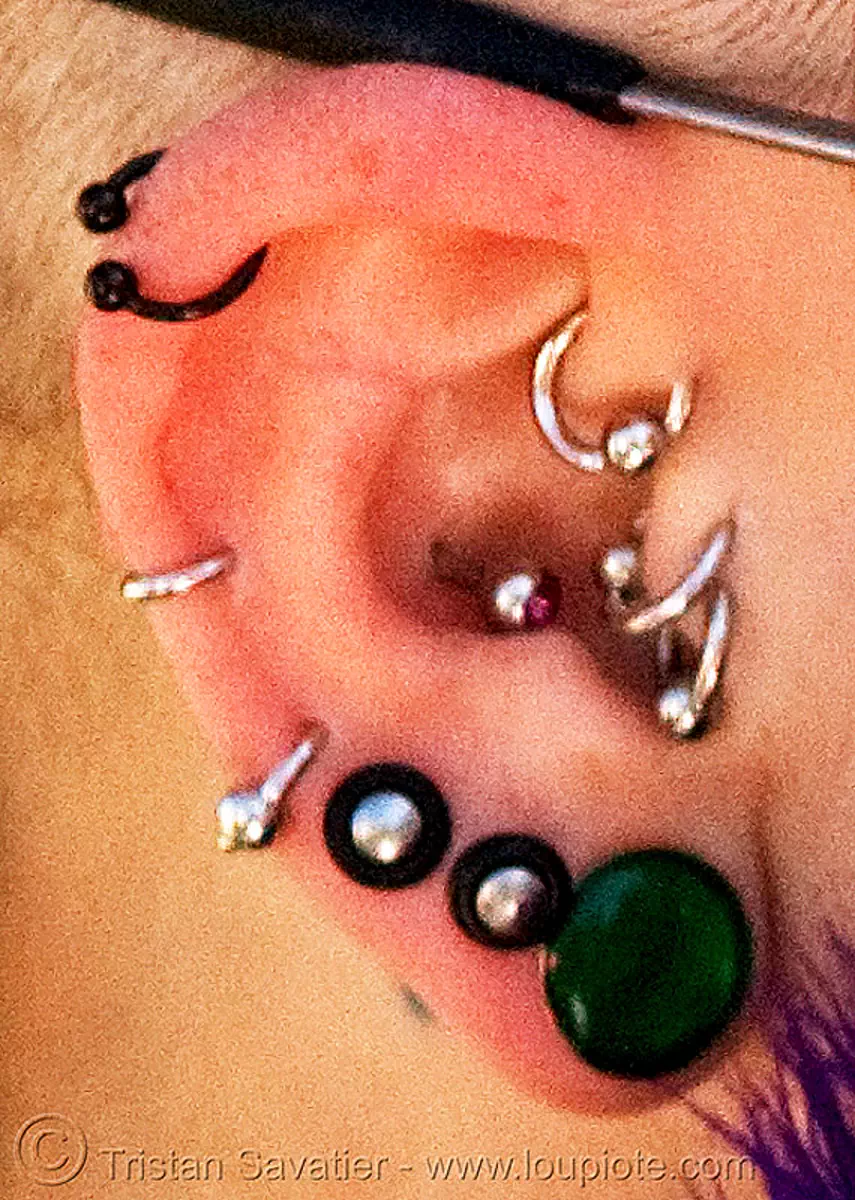 ear piercings, rings and plugs