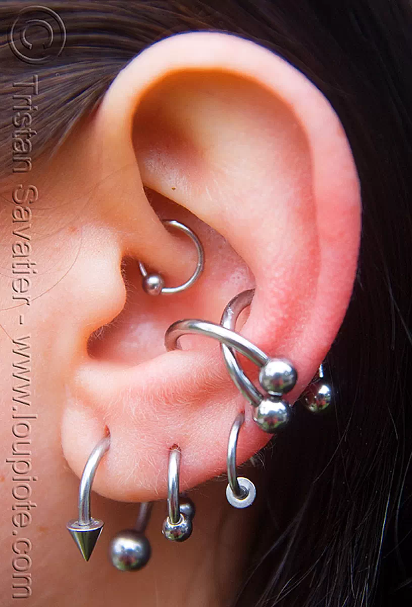 ear piercings with steel rings, catherine