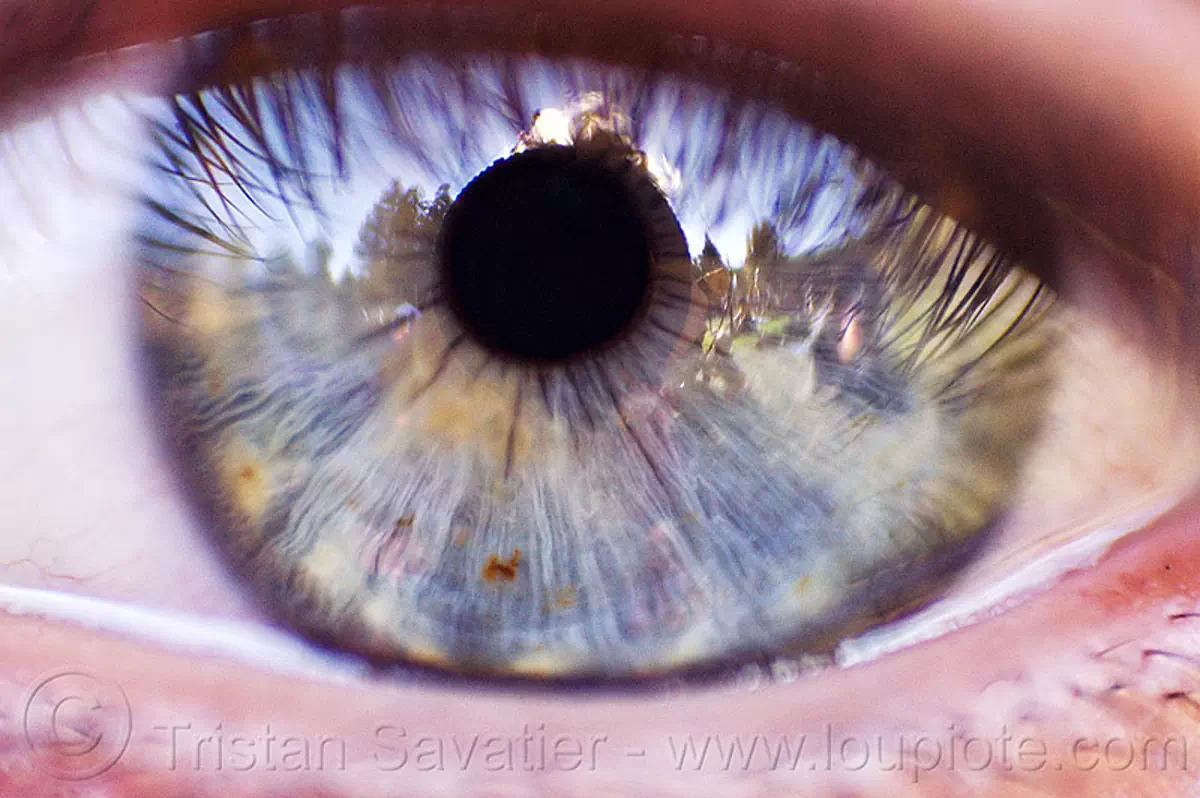 eye closeup, eye iris texture