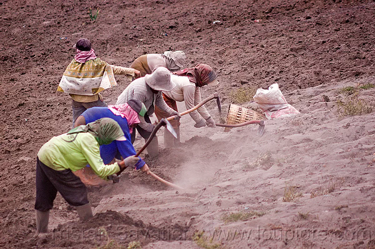 farmers hand ploughing a field, cemoro lawang, near bromo volcano, java