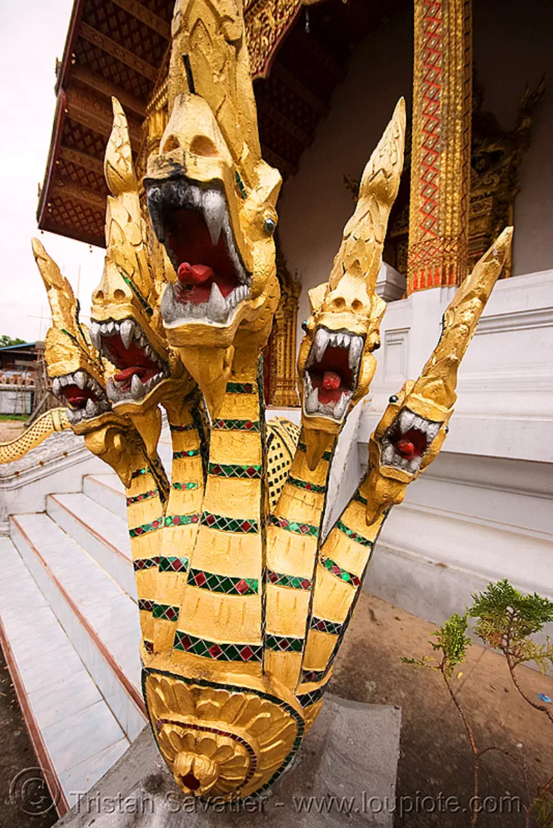 five-headed Nāga snake in temple - luang prabang (laos), buddhism, five headed, laos, luang prabang, naga snake, nāga dragon, nāga snake, sculpture