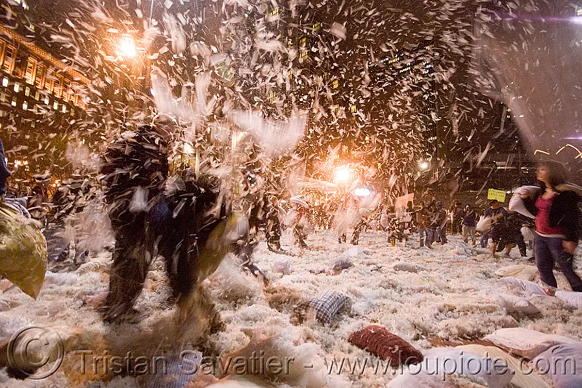 flying feathers from the broken pillows, the great san francisco pillow