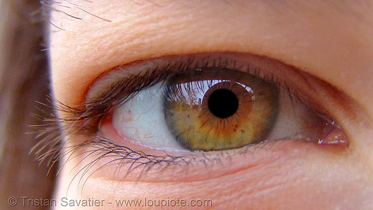 gaëlle hazel eye, close up, eye color, hazel, iris, woman