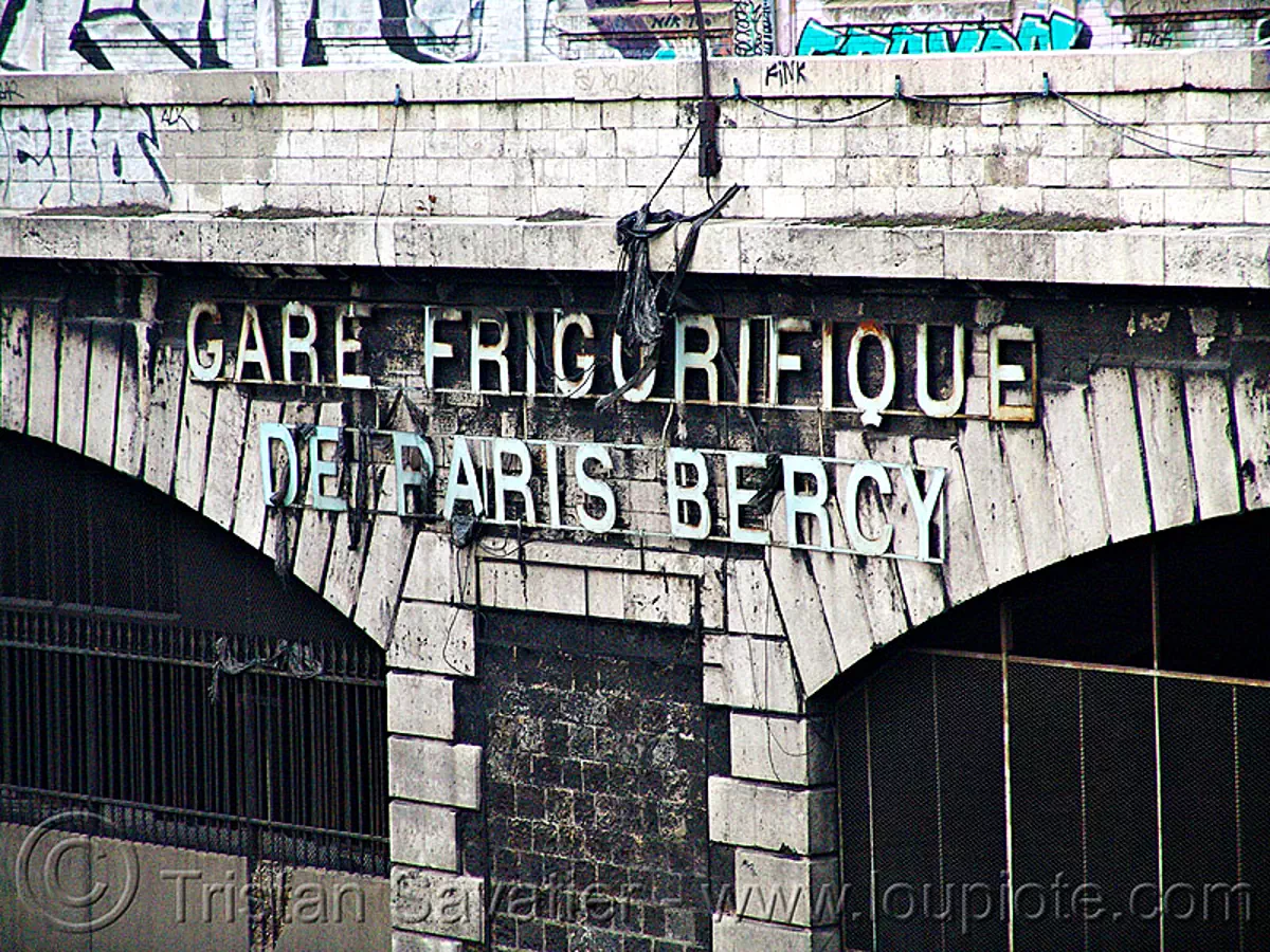gare frigorifique de paris bercy, petite ceinture, abandoned railway, paris, france