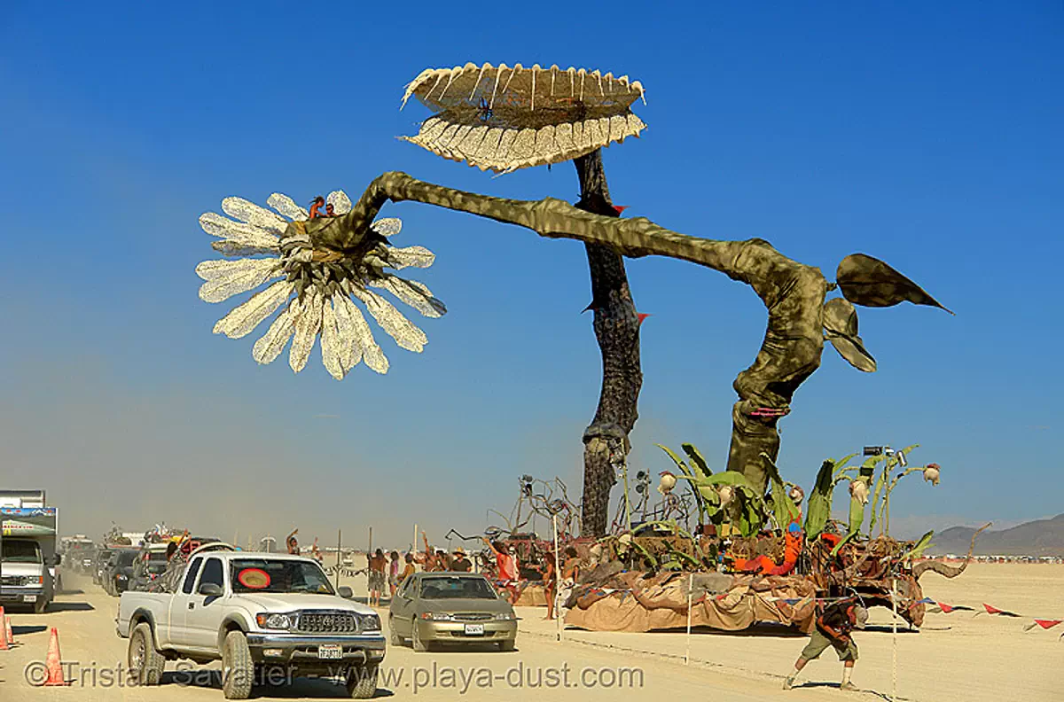 giant flowers at the burning man festival - venus fly trap - miracle grow, art car, burning man, cars, fear trap, giant flower, miracle grow, mutant vehicles, venus fly trap