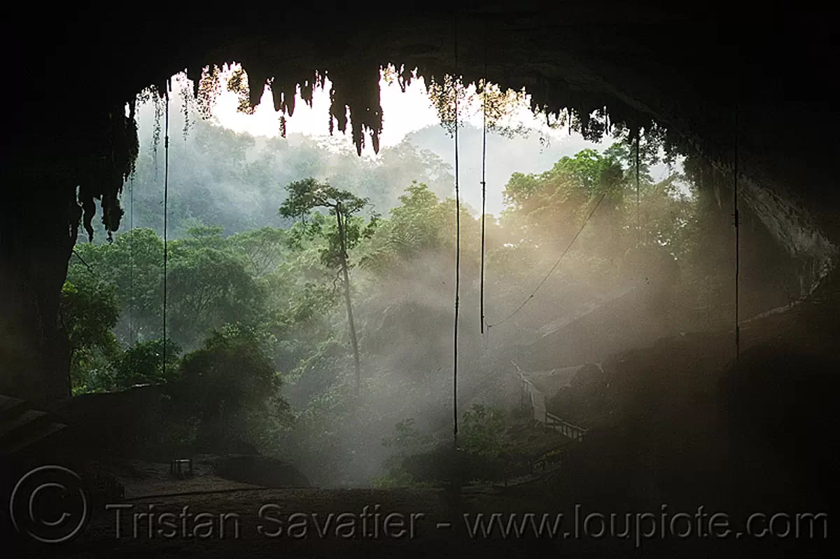 the great cave at gua niah, niah caves, natural cave in rain forest, borneo