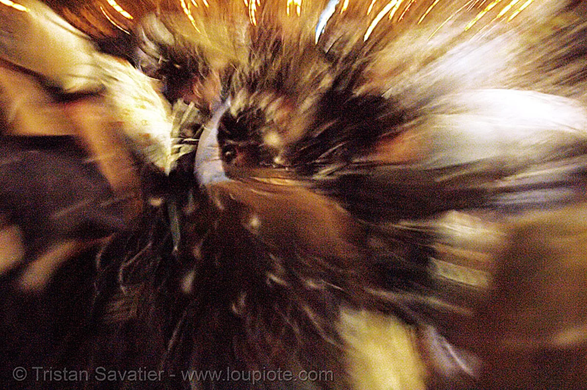 the great san francisco pillow fight 2007