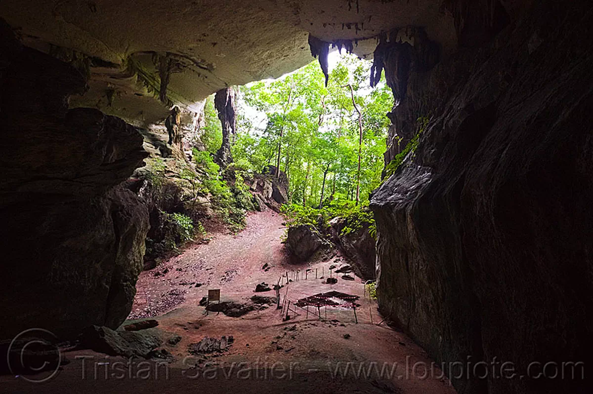 gua niah, natural cave in rain forest, borneo