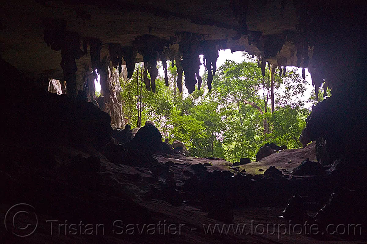gua niah, natural cave in rain forest, borneo