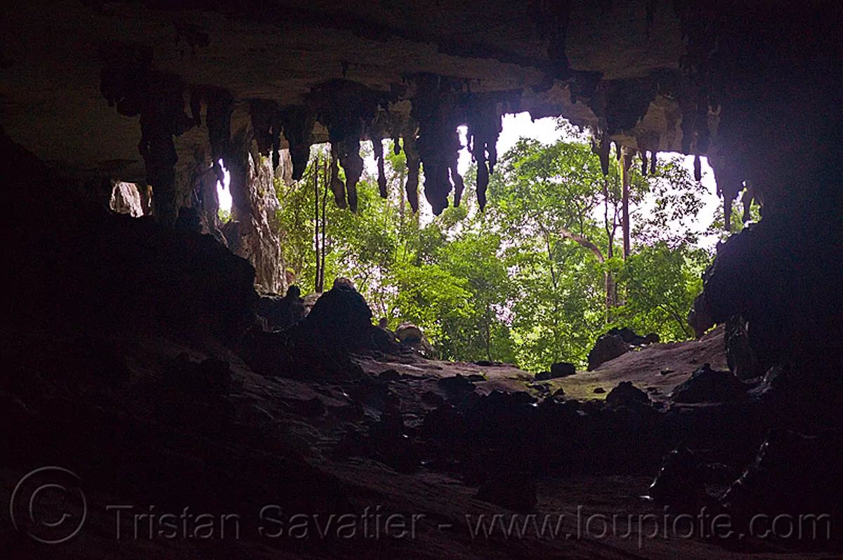 gua niah - natural cave in rain forest (borneo), backlight, borneo, cave formations, cave mouth, caving, concretions, gua niah, malaysia, natural cave, niah caves, niah painted cave, rain forest, speleothems, spelunking, stalactites