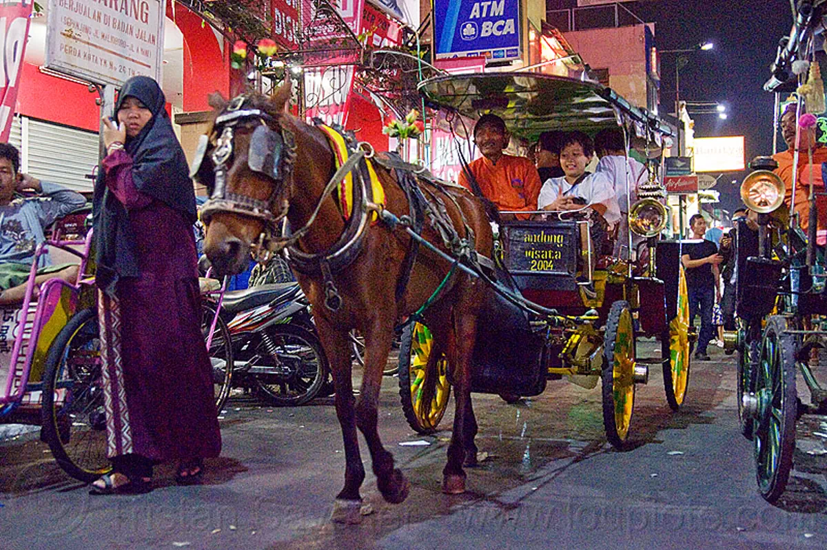 horse carriage at night on malioboro street - yogyakarta (indonesia), bridle, draft horse, draught horse, horse carriages, horses, indonesia, jogja, malioboro, night, yogyakarta