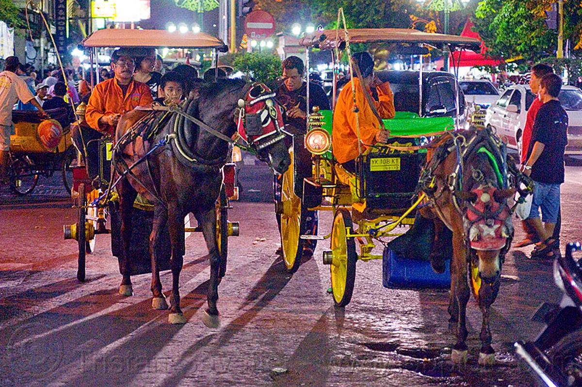 horse carriages at night on malioboro - jogja (indonesia), draft horse, draught horse, horse carriages, horses, indonesia, jogja, malioboro, night, yogyakarta