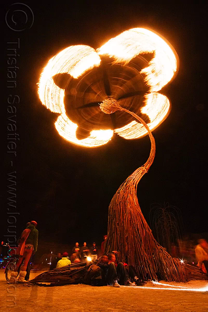 infinitarium at night - burning man 2010, art installation, burning man, fire, infinitarium, night