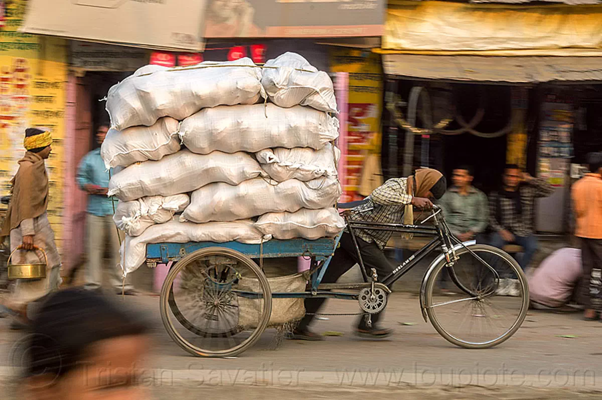 man pushing cargo bike with heavy load (india), bags, cargo tricycle, cargo trike, freight tricycle, freight trike, heavy, load bearer, man, moving, sacks, transport, transportation, transporting, varanasi, walking, wallah