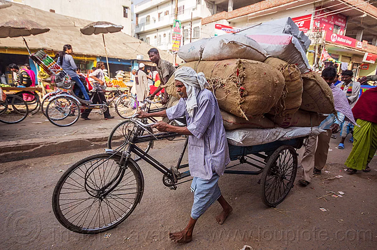 man pushing freight tricycle with heavy load (india), bags, bare foot, cargo tricycle, cargo trike, freight tricycle, freight trike, heavy, load bearer, man, moving, sacks, transport, transportation, transporting, varanasi, walking, wallah