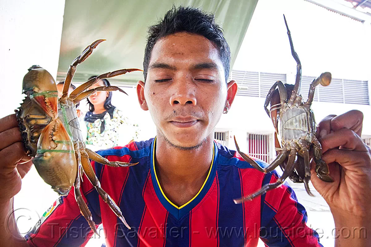 man with mud crabs, borneo, fish market, food, malaysia, man, mangrove crab, merchant, mud crab, portunidae, scylla crab, seafood, swimmer crabs, vendor