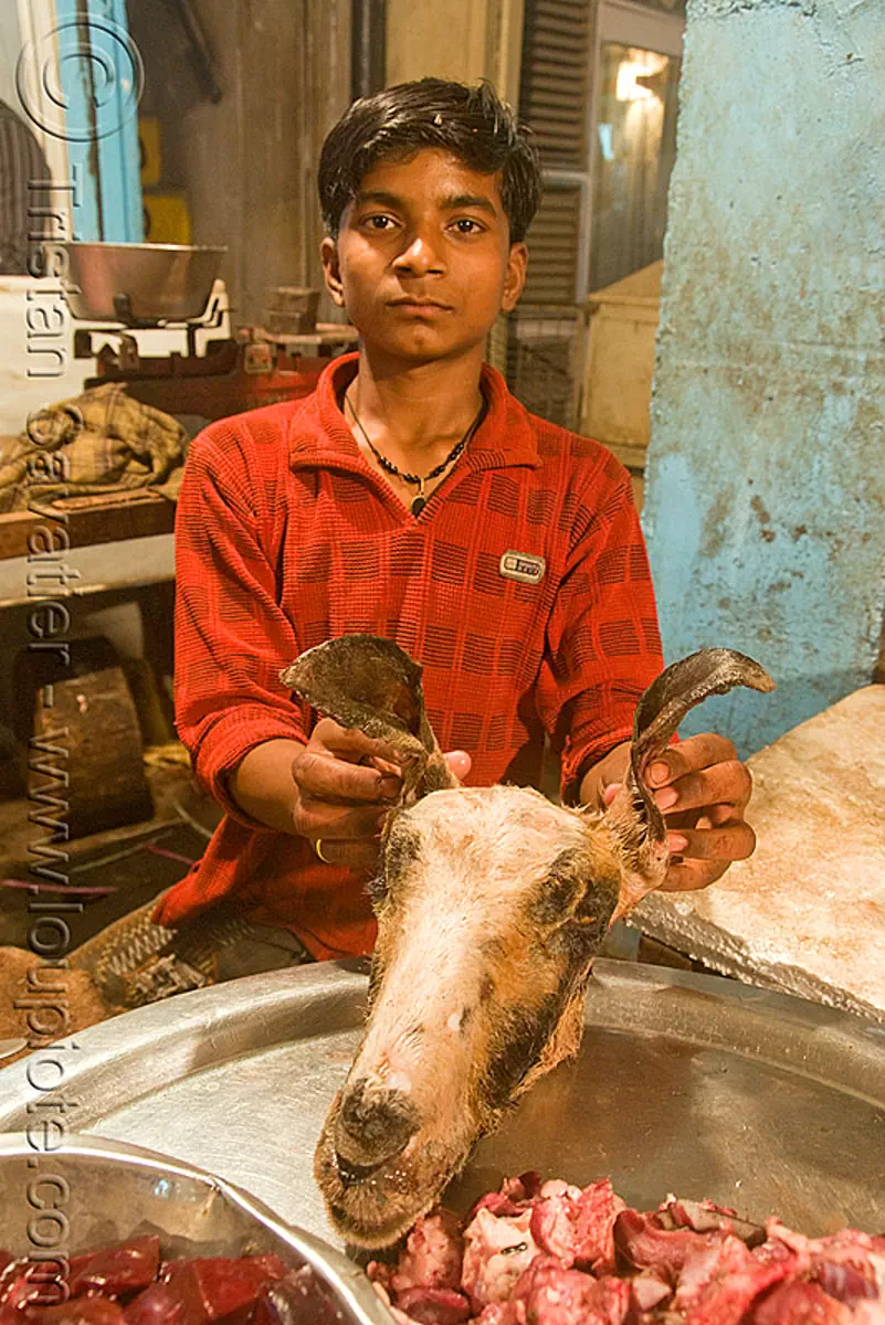 meat shop - goat meat - butcher - delhi (india), butcher, chevon, delhi, goat head, goat meat, halal meat, india, meat market, meat shop, mutton, raw meat