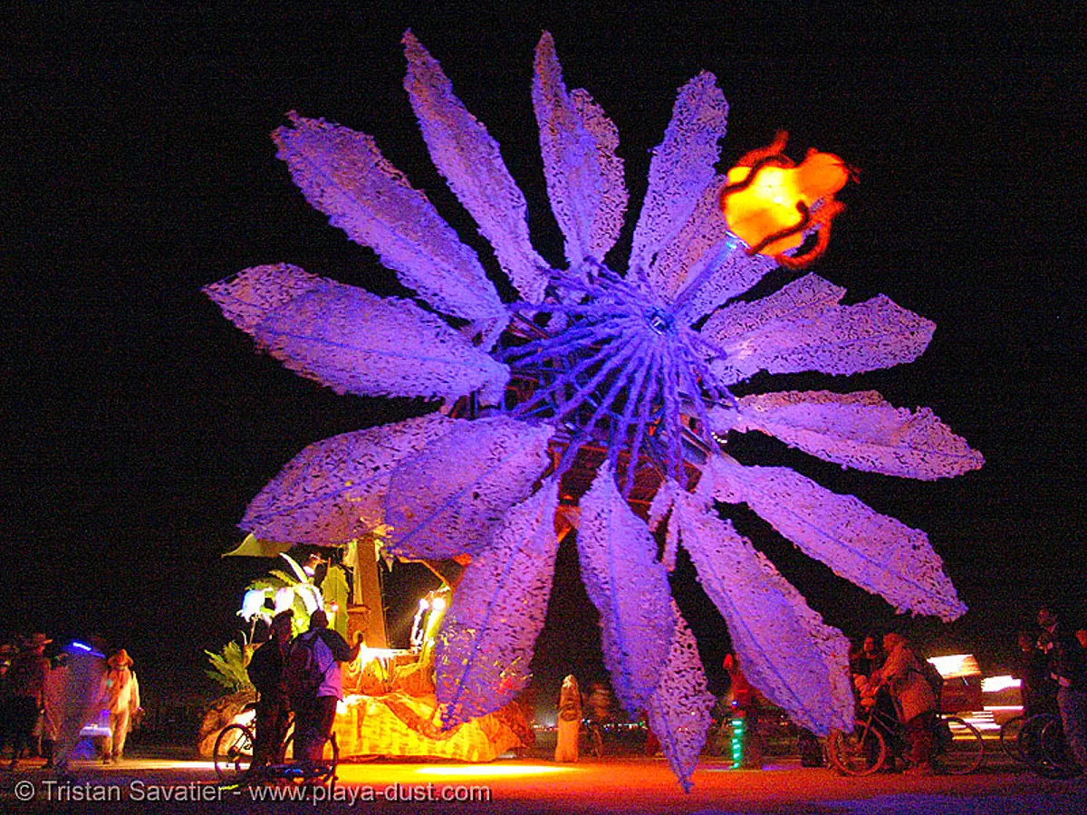 miracle grow - giant flower - burning-man 2005, art car, burning man, giant flower, miracle grow, mutant vehicles, night, purple