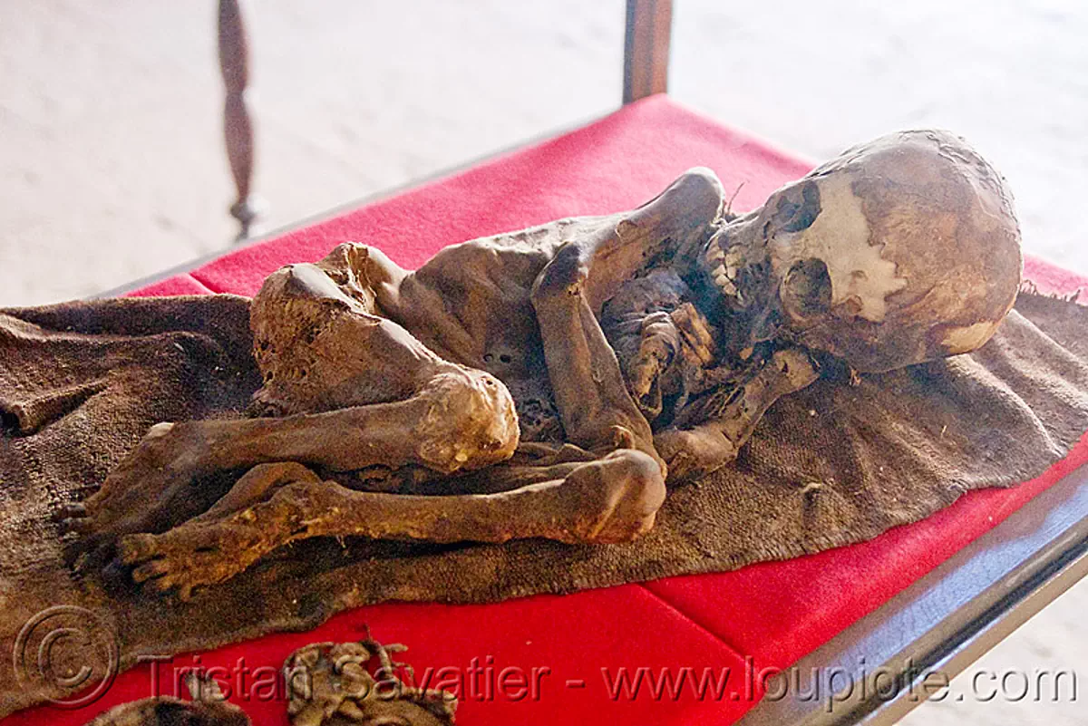 mummified child corpse, bolivia, cadaver, casa de la moneda, casa nacional de moneda, child, corpse, dead, human remains, potosí