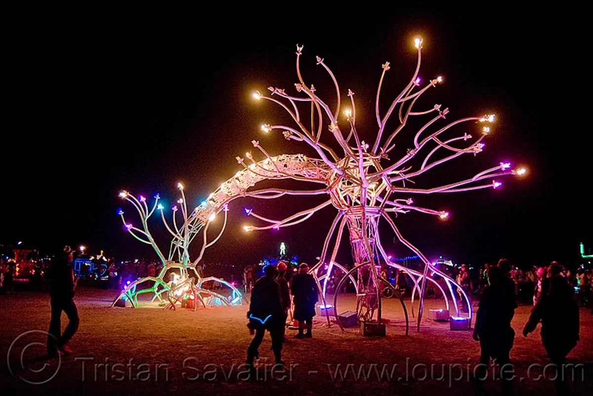 neuron sculpture - burning man 2009, art installation, burning man, dendrites, glowing, neurone, night, soma