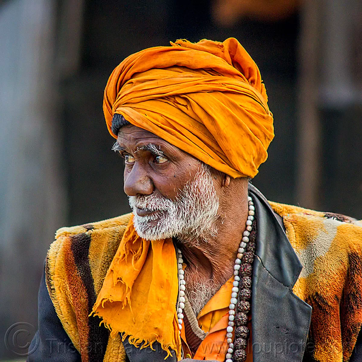 old hindu pilgrim - wearing bhagwa saffron color, bhagwa, headdress, hindu man, hindu pilgrimage, hinduism, indian man, kumbh mela, old man, pilgrim, saffron color, turban, white beard
