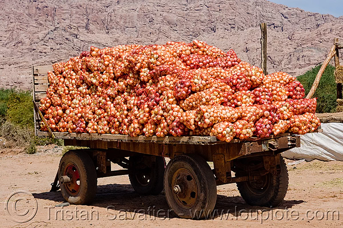 onion bags on farmer's trailer