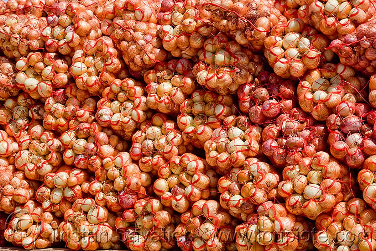 onions in bags - produce market (argentina), argentina, farmer's, noroeste argentino, onion bags, onions, produce, vegetable