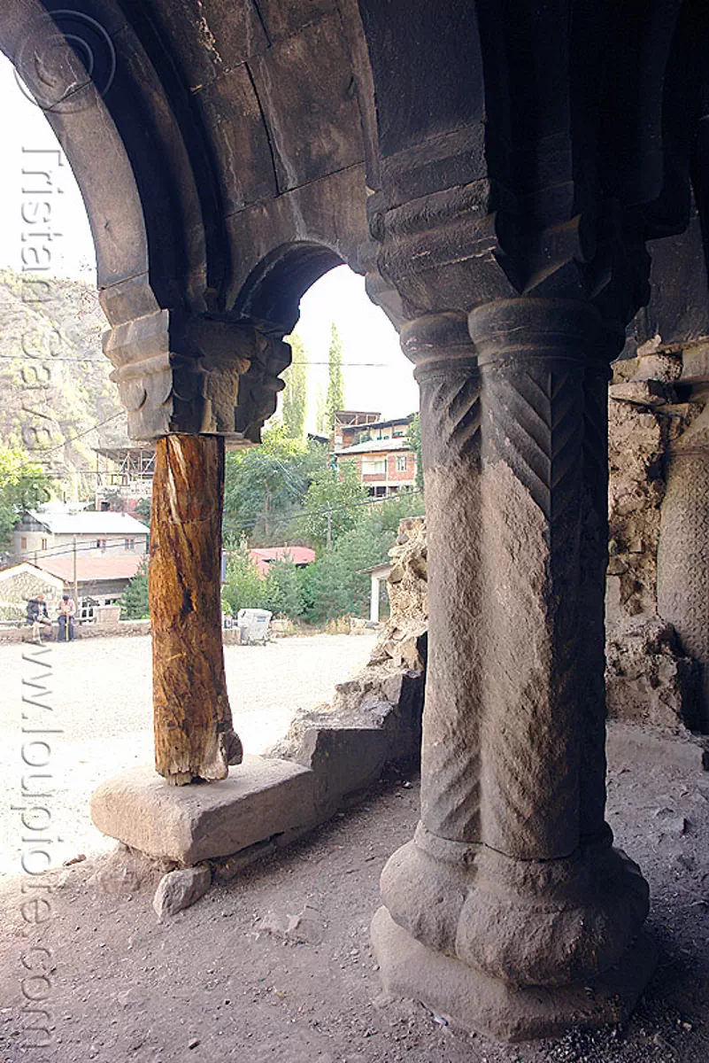 oshki monastery - georgian church ruin (turkey), byzantine, columns, georgian church ruins, orthodox christian, oshki monastery, pillars, tree trunk, vaults, öşk, öşkvank