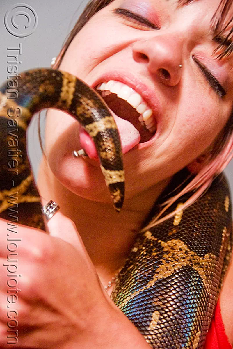 pet boa snake - tail licking, boa constrictor, melody, pet snake, tail, woman