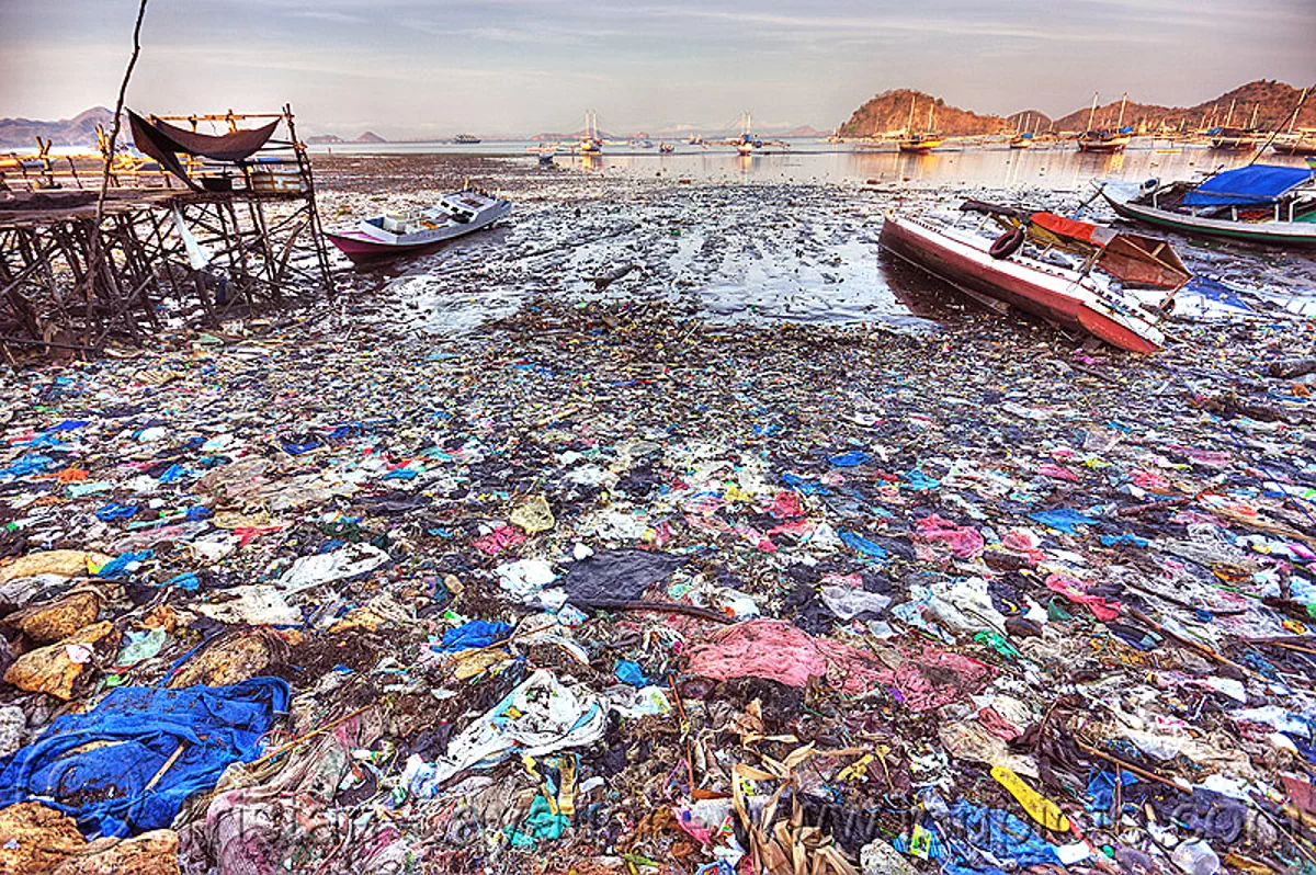 plastic trash on beach, beach, boats, environment, flores island, garbage, labuan bajo, low tide, plastic trash, pollution, seashore, single use plastics