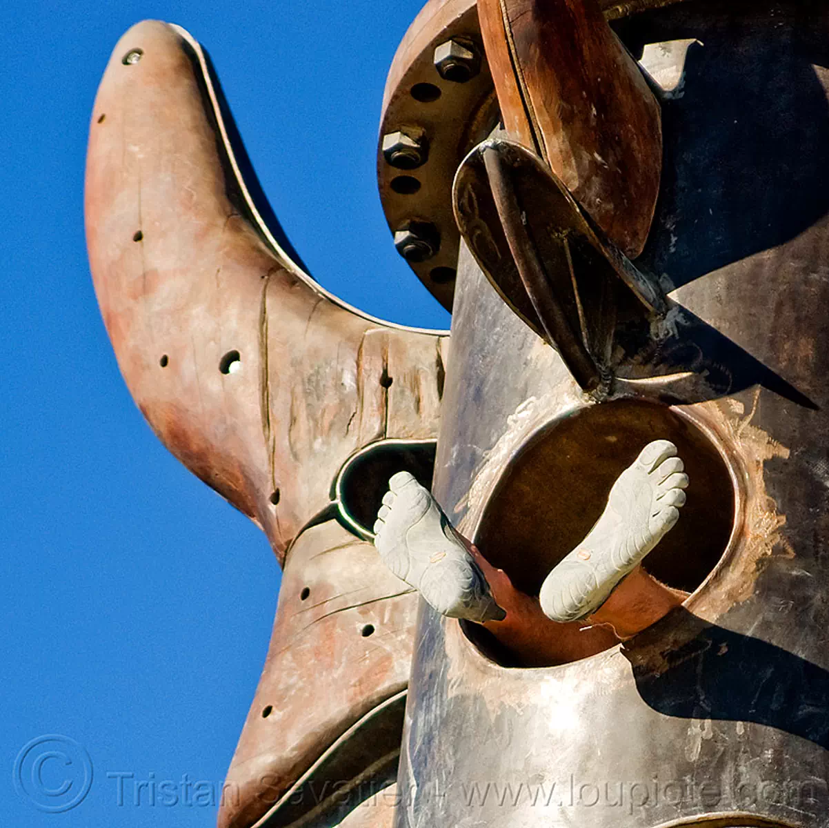 relaxing at burning man 2010