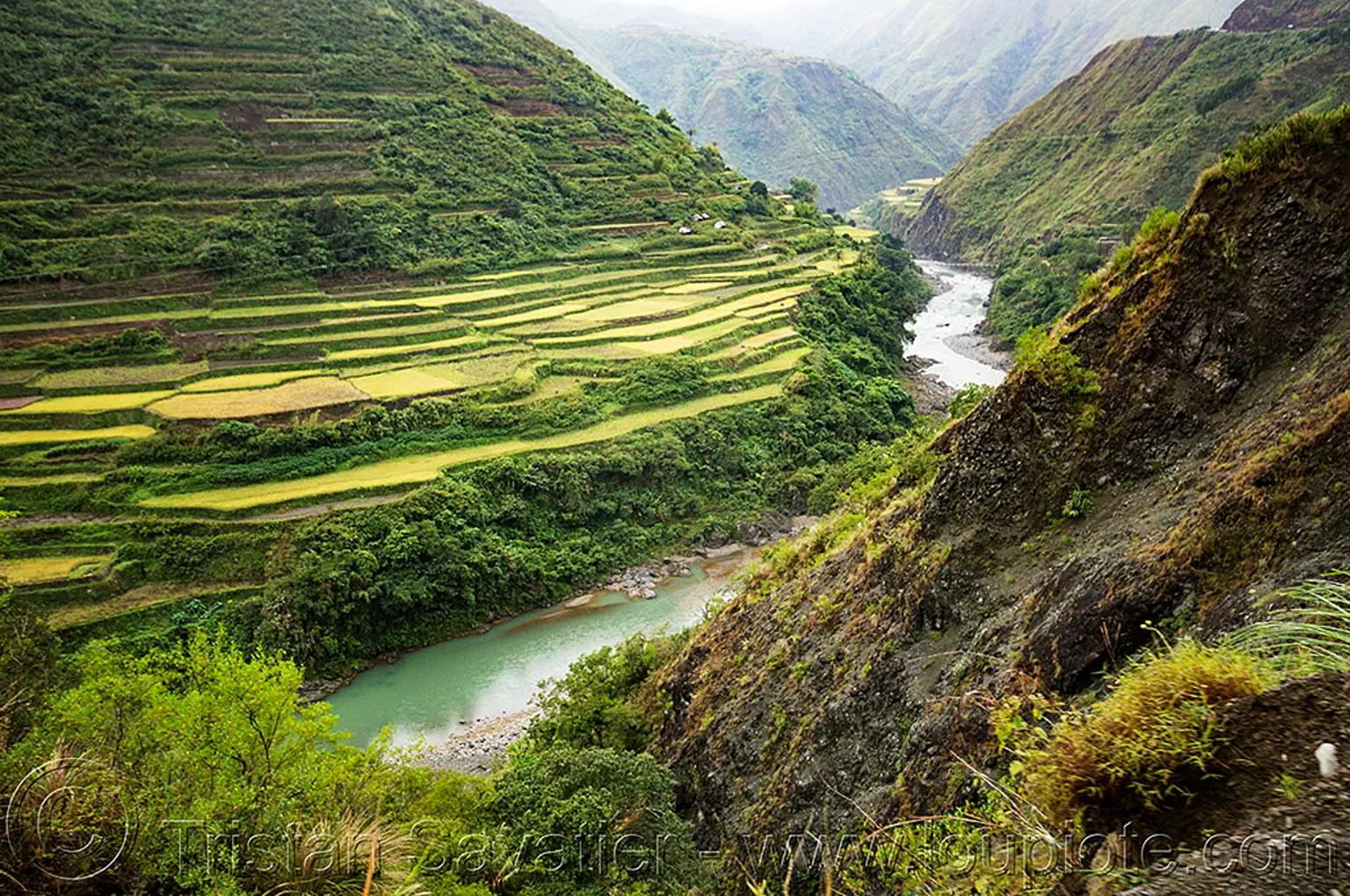 rice terraces in steep valley in the cordillera, chico river, philippines