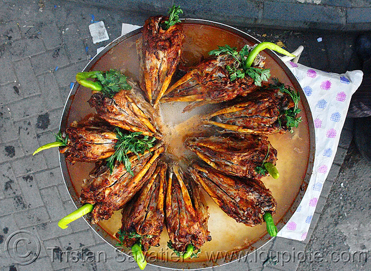 roasted goat heads, kurdish food, serûpê