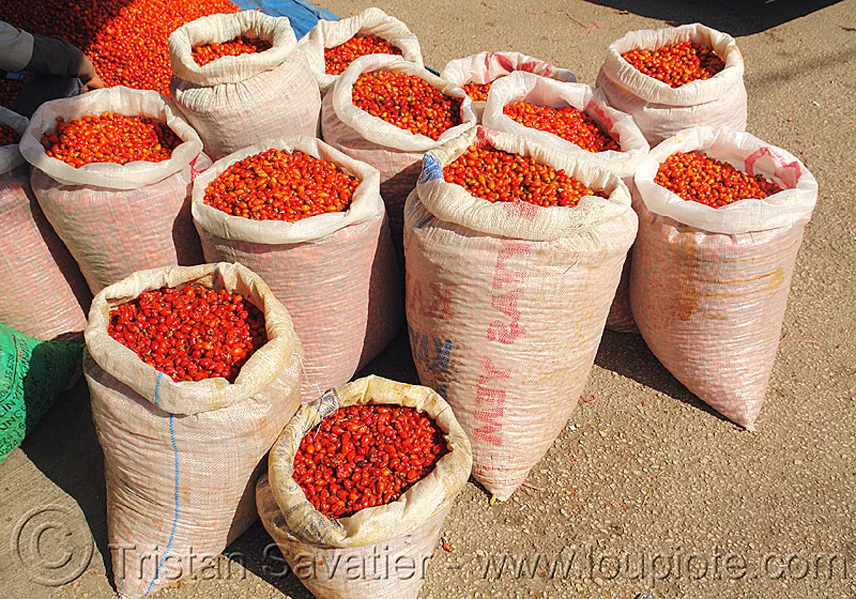 rose-hips bags, bags, bulk, cynorhodon, cynorrhodon, farmers market, fruits, gratte-cul, red, rose haw, rose hips