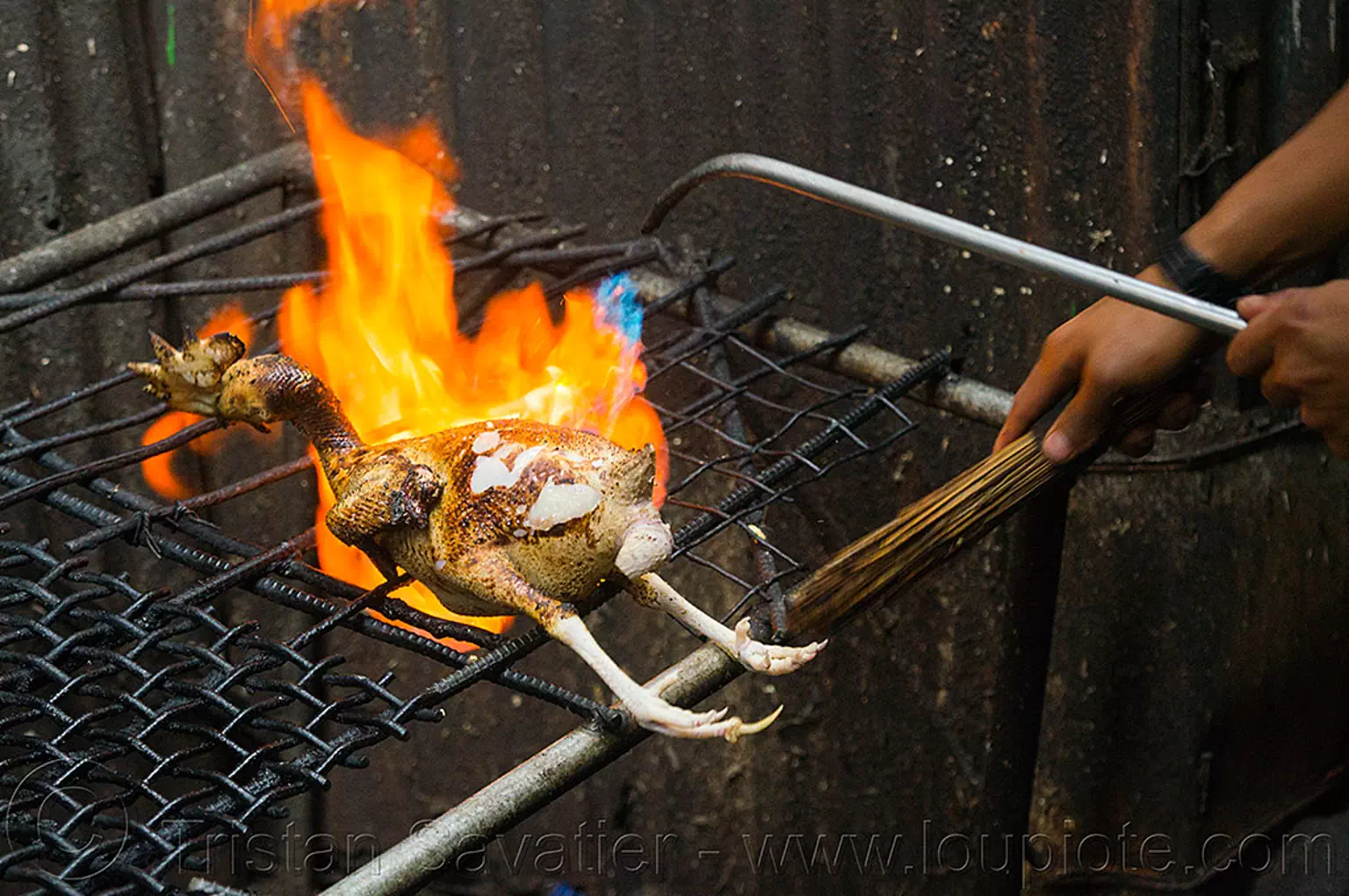 singeing chicken, preparing pinikpikan, philippines