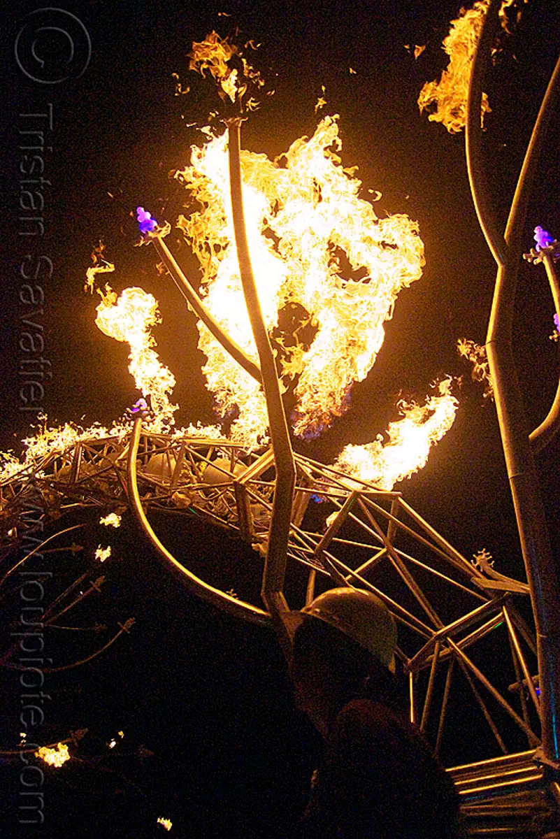 soma - giant neuron by the flaming lotus girls - burning man 2009, burning man, dendrites, fire, neurone, night, soma