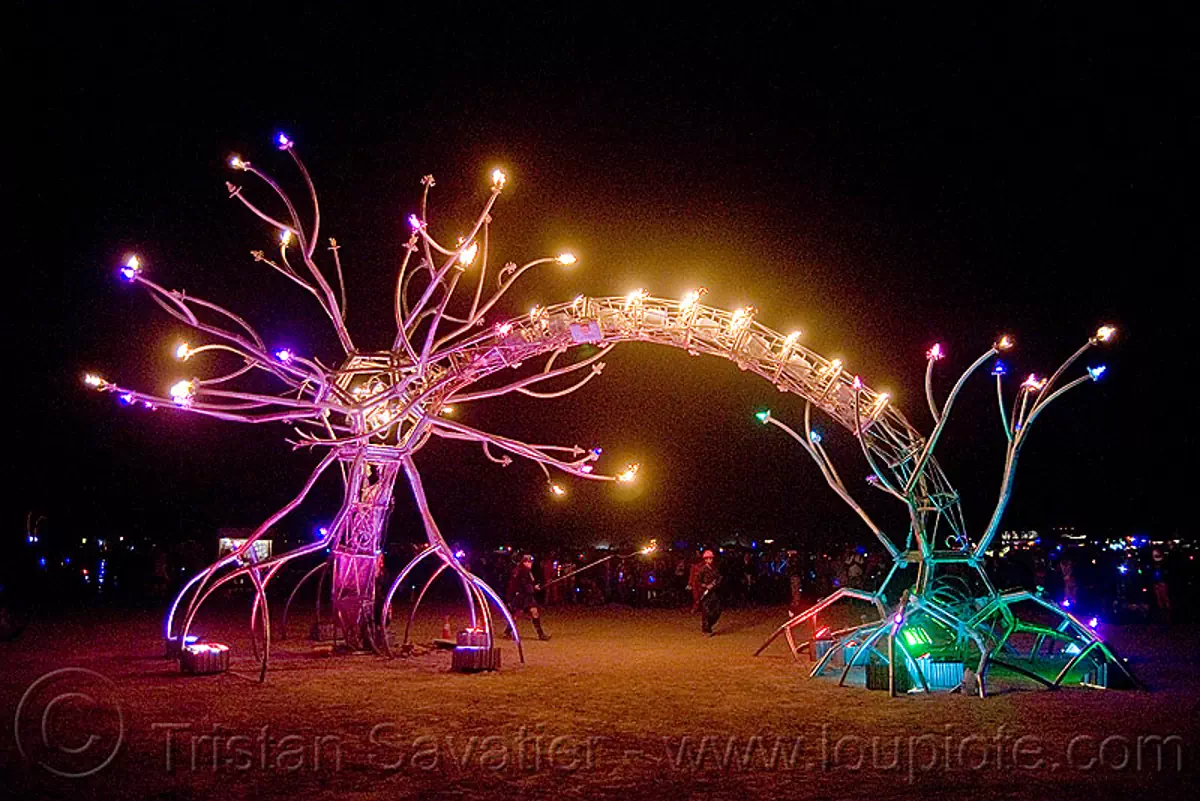 soma - giant neurone by the flaming lotus girls - burning man 2009, art installation, burning man, dendrites, neurone, night, soma