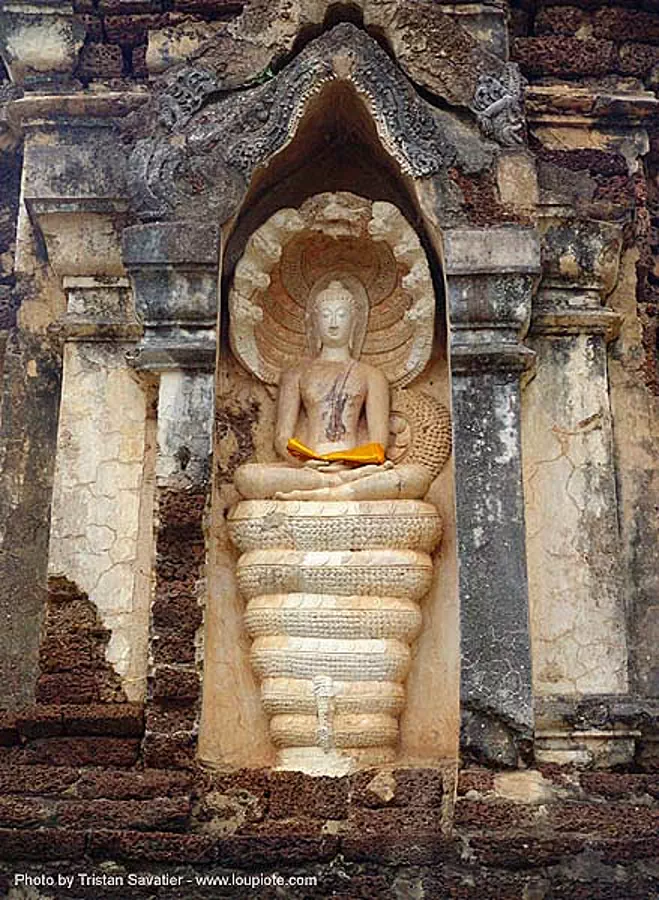พระพุทธรูป - พระพุทธรูปปางนาคปรก - statue of buddha and nine-headed cobra snake - Nāga - mucalinda - อุทยานประวัติศาสตร์ศรีสัชนาลัย - wat chedi chet thaeo - si satchanalai chaliang historical park, near sukhothai - thailand, buddha image, buddha statue, buddhism, buddhist temple, cobra, cross-legged, mucalinda, naga snake, nine-head, nine-headed, nāga dragon, nāga snake, ruins, sculpture, thailand, wat chedi chet thaeo, พญานาค, พระพุทธรูป, พระพุทธรูปปางนาคปรก, วัดเจดีย์เจ็ดแถว ศรีสัชนาลัย, อุทยานประวัติศาสตร์ศรีสัชนาลัย