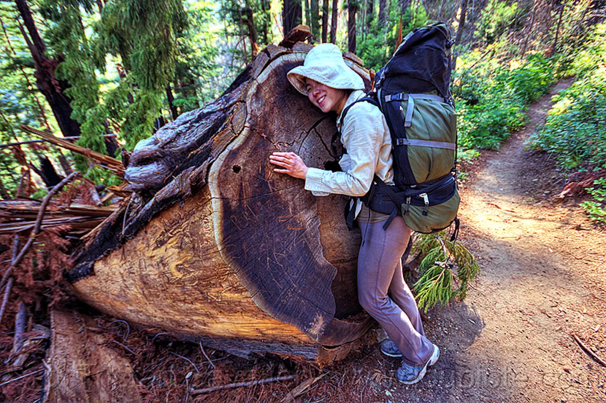 tree hugger, women hugging a fallen redwood tree